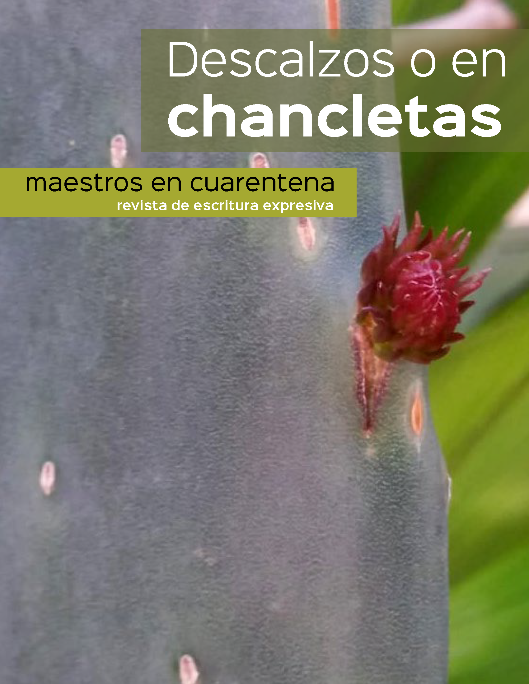 Cover of Descalzos o en chancletas